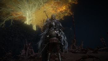 Elden Ring image no. 190