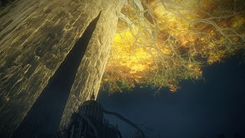 Elden Ring image no. 257