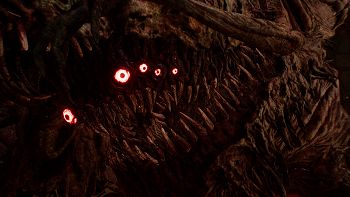 Action image no. 12