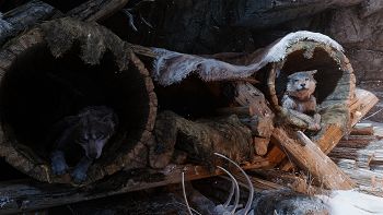 God of War: Ragnarök image no. 142