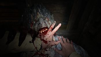 Resident Evil: Village image no. 14