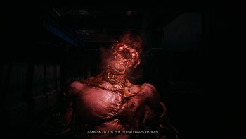 Resident Evil: Village image no. 80