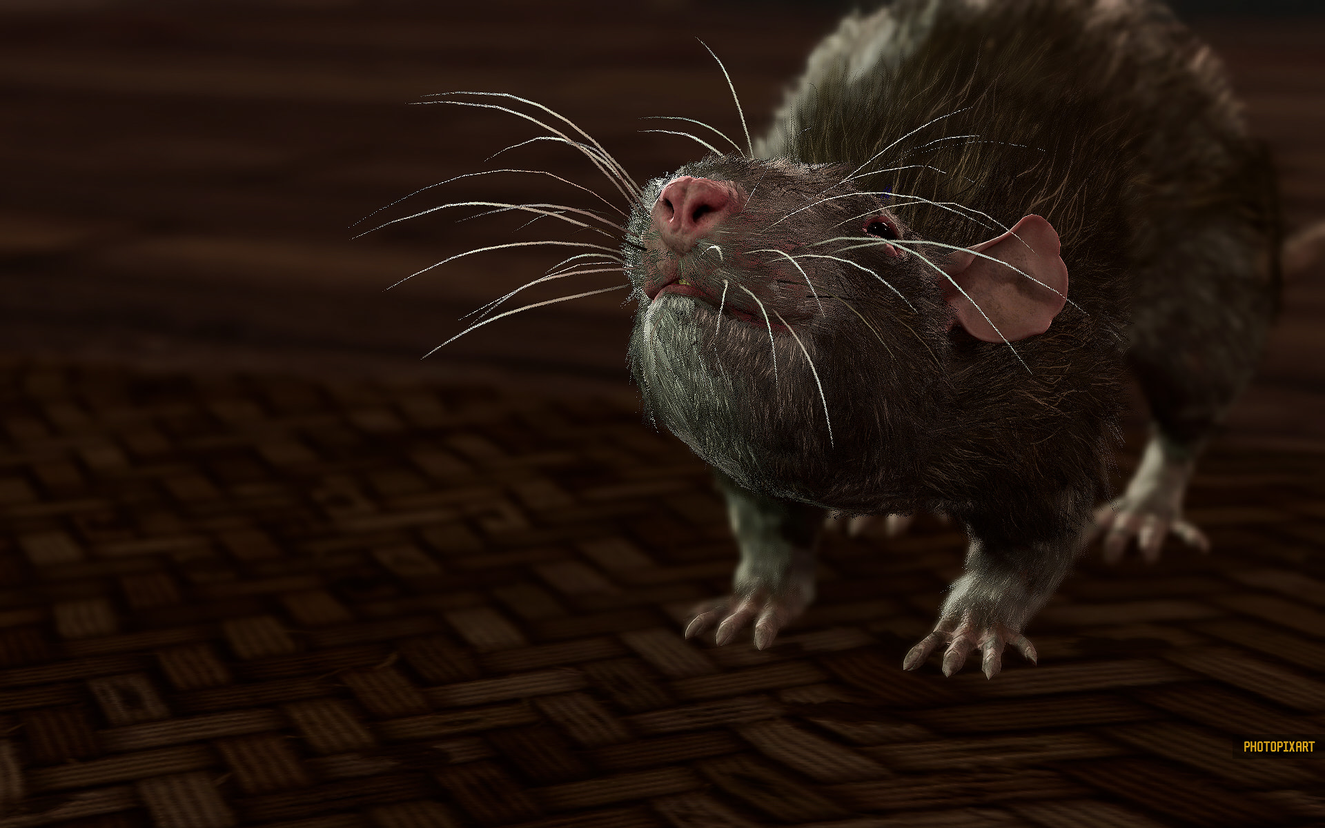 Video Games, Baldur's Gate 3, The adventure in pictures (Portraits & Shots) photo no. 436