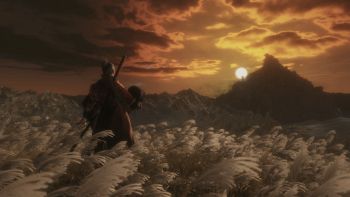 Sekiro: Shadows Die Twice image no. 25