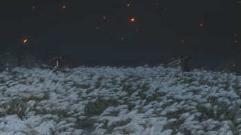 Sekiro: Shadows Die Twice image no. 21