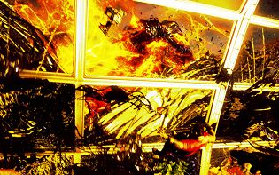 Prey image no. 28