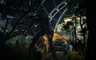 Prey image no. 23