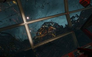 Prey image no. 26