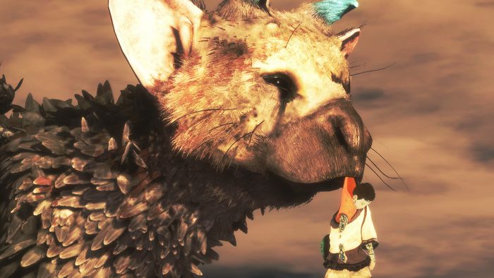 Video Games, The Last Guardian photos