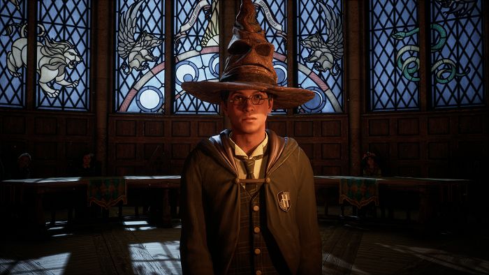 Video Games, Hogwarts Legacy photos